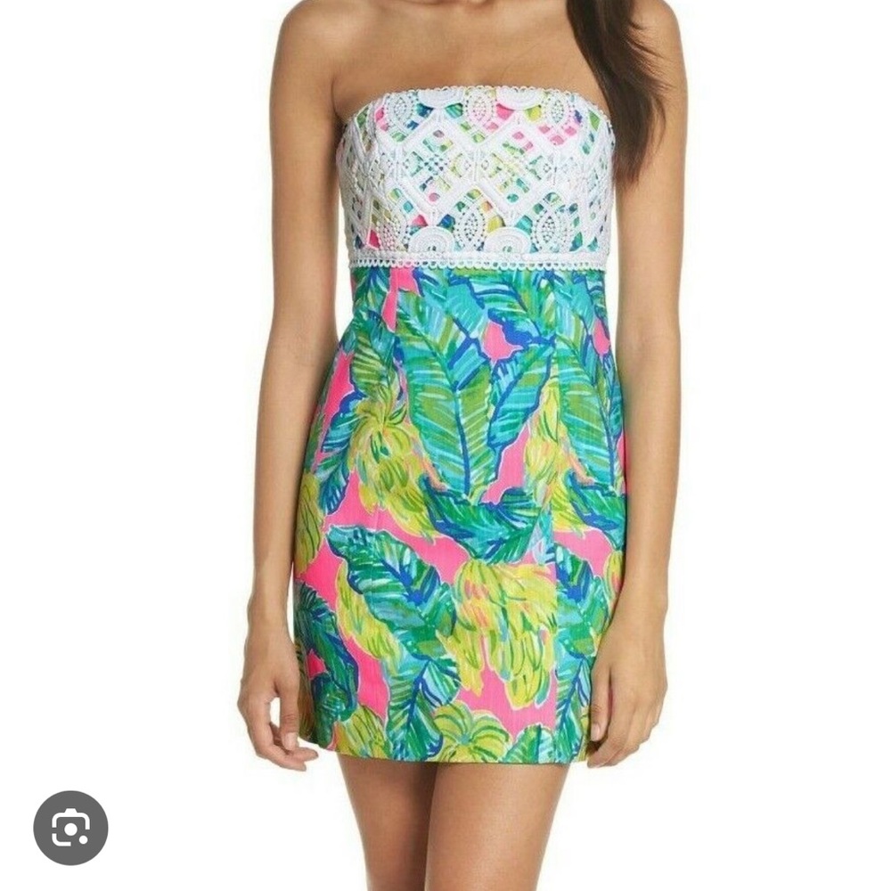 Lily Pulitzer brynn dress